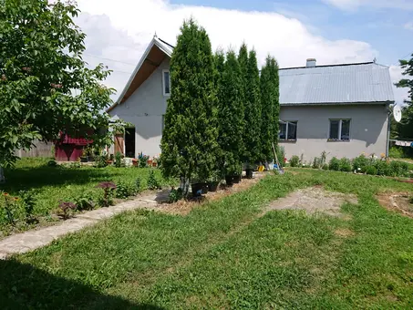 Vand urgent  casa in Arbore