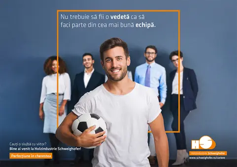 Analist suport tehnic soft intern de management (ERP)