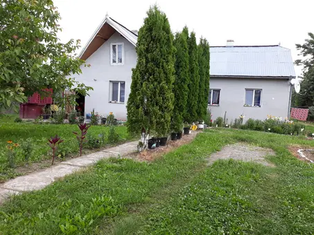 Vand casa in Arbore