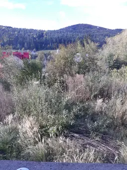 Casa noua in Sucevita - Voievodeasa, zona foarte frumoasa