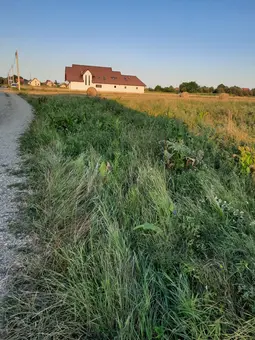 Vindem 4 parcele, teren constructii, in Radauti
