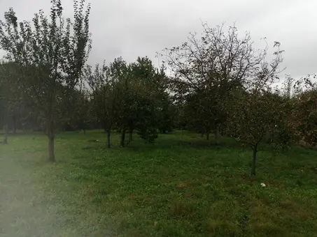 teren pentru constructii