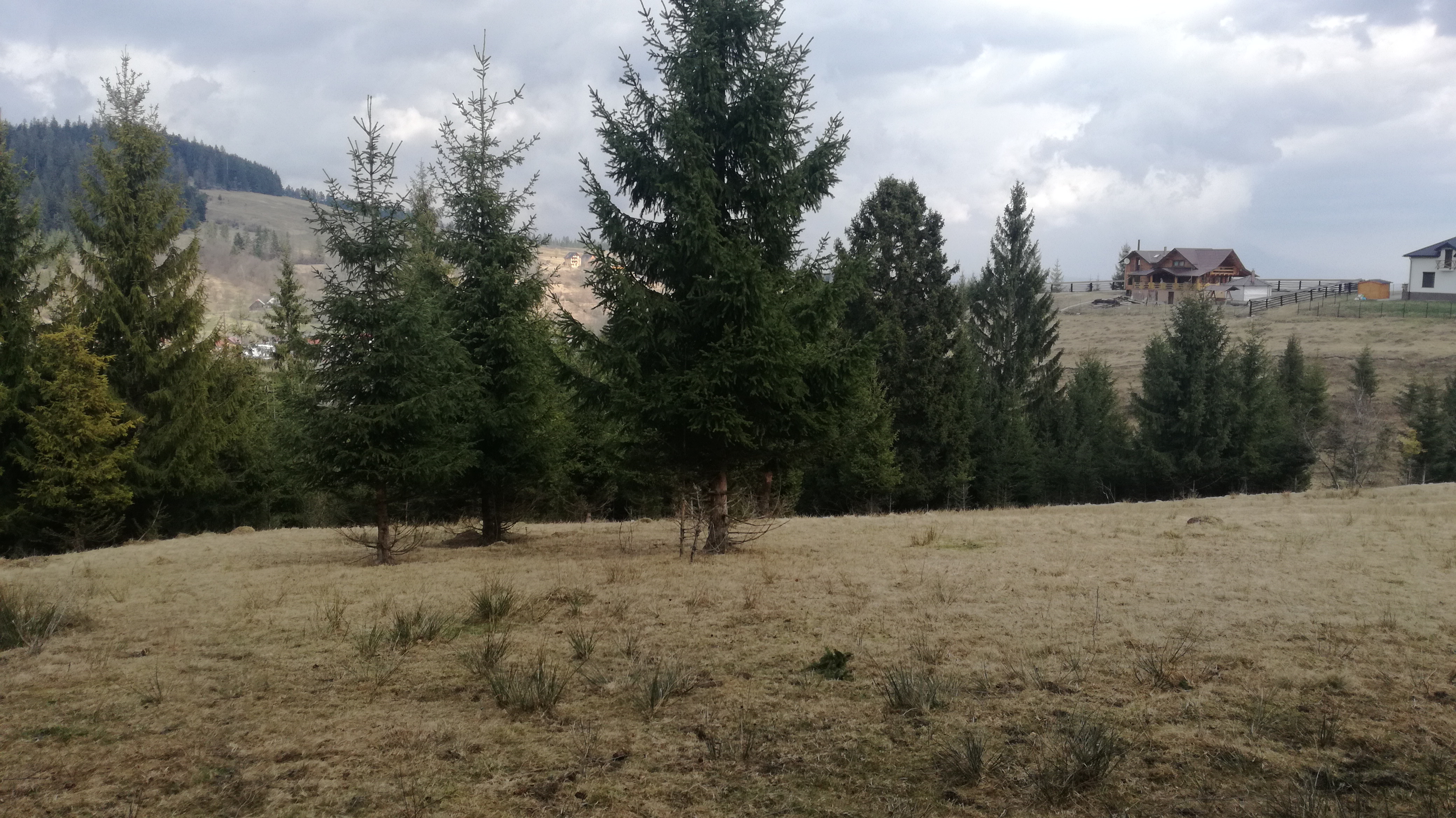 Teren De Vanzare ErÄdÄuÅ£i Ro